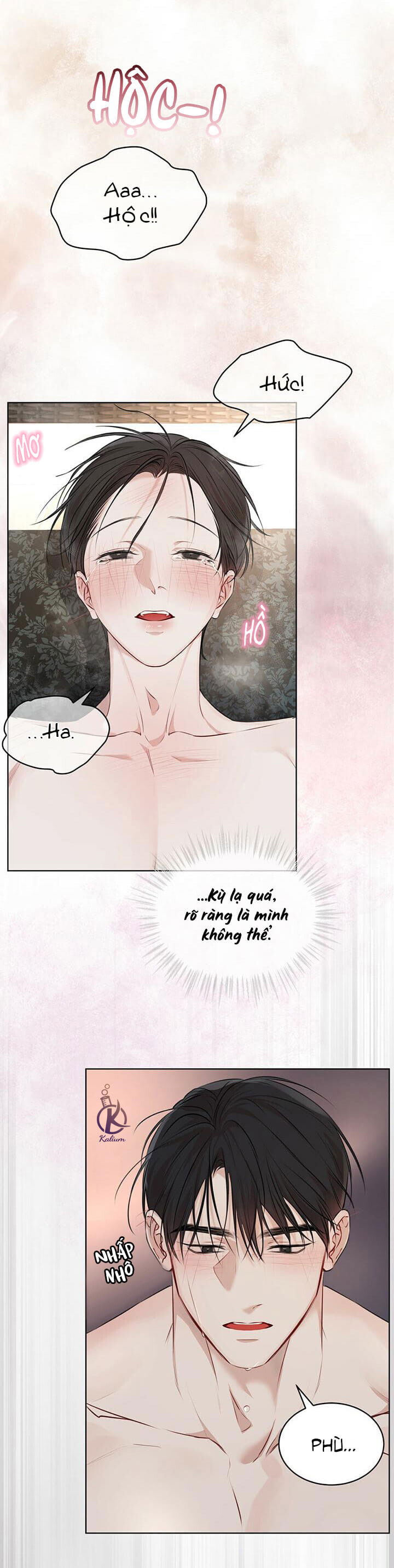 hình thái khởi sinh chapter 28 22