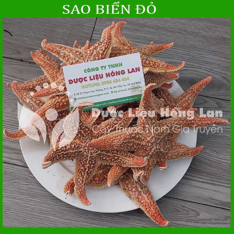 1KG Sao Biển đỏ khô sạch loại 1 size lớn