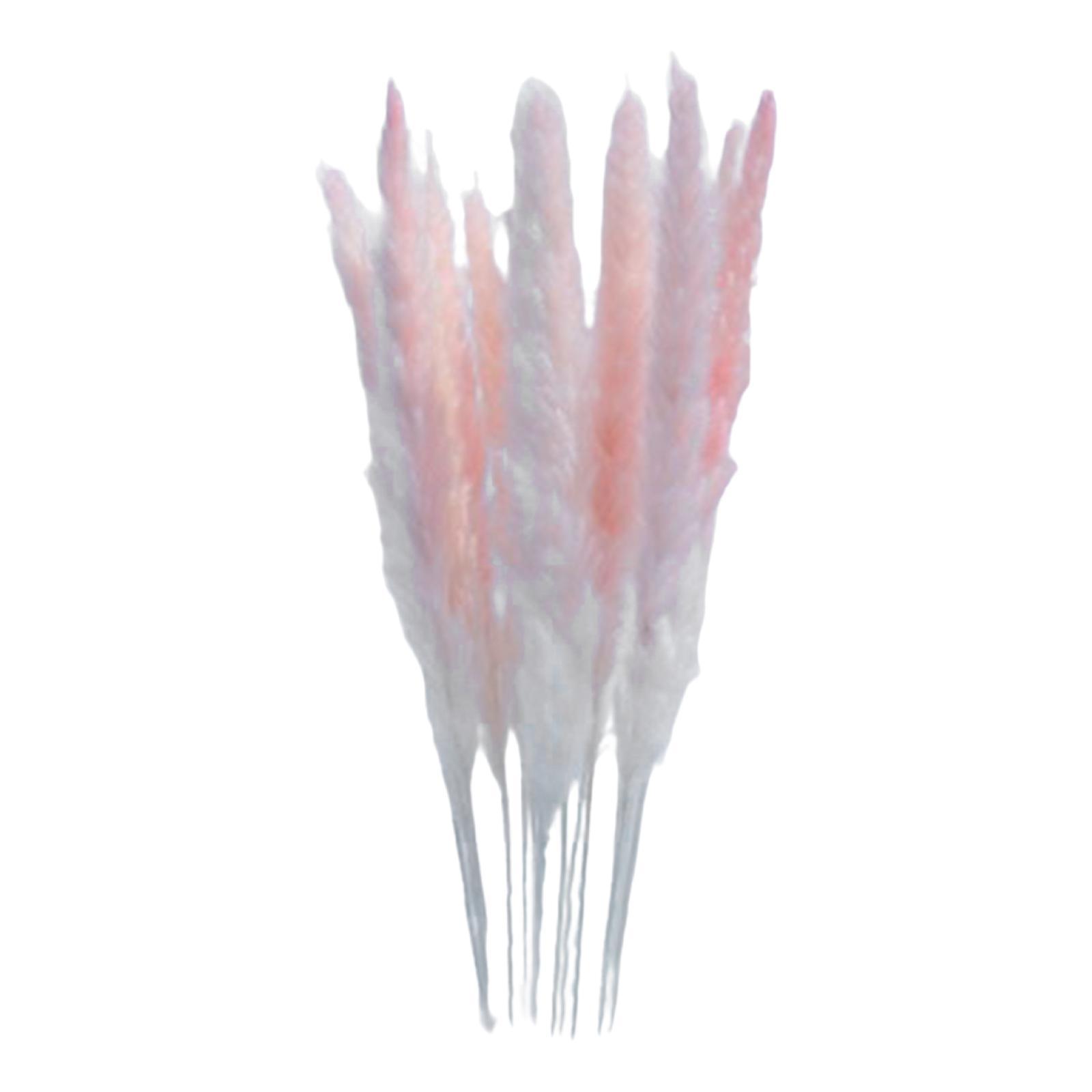 Natural Dried Pampas Grass Boho Home Decor Flower Arrangement Dried Reed Phragmites Decoration