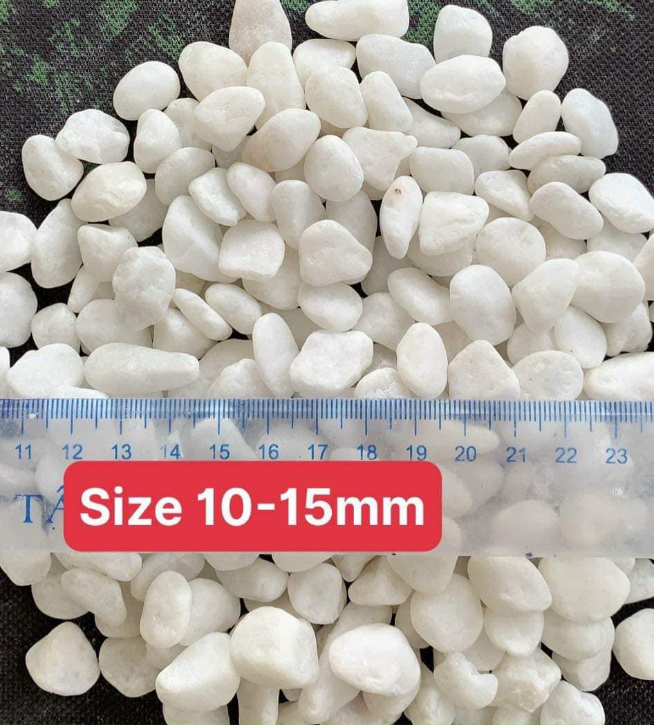 (1 Kg) Sỏi Trắng Cao Cấp Dùng Trải Nền Trang Trí Chậu Cây, Sân Vườn, Bể Cá, Tiểu Cảnh Terrarium