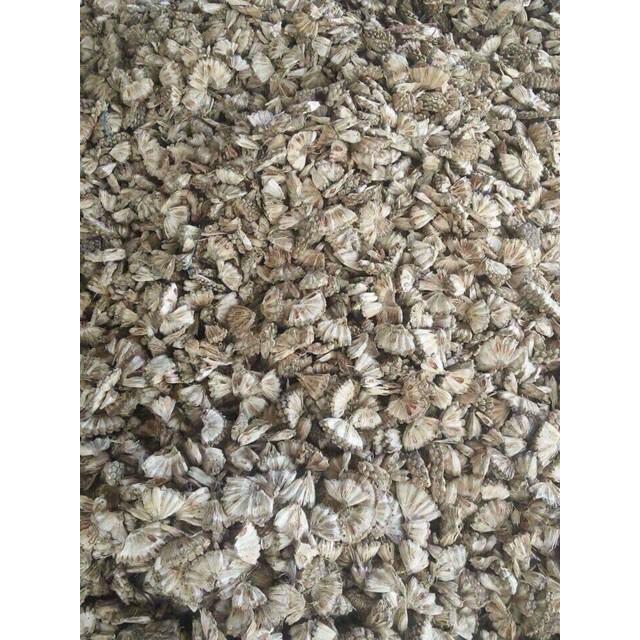1kg Quả Dứa Rừng Khô, Dứa Dại-Trị Sỏi Thận