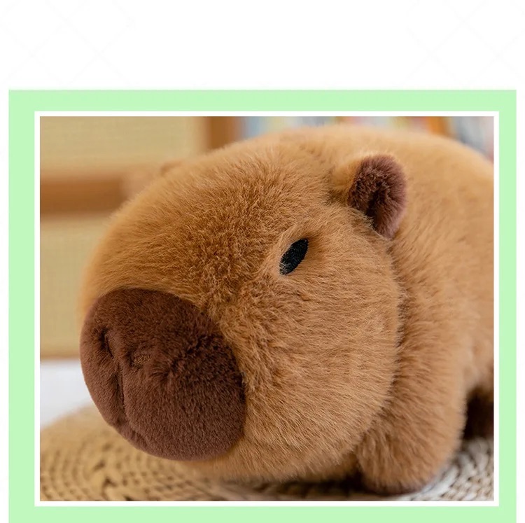 Thú nhồi bông capybara trong quả bơ đáng yêu - Size từ 25cm đến 45cm - Móc khoá gấu bông Capybara