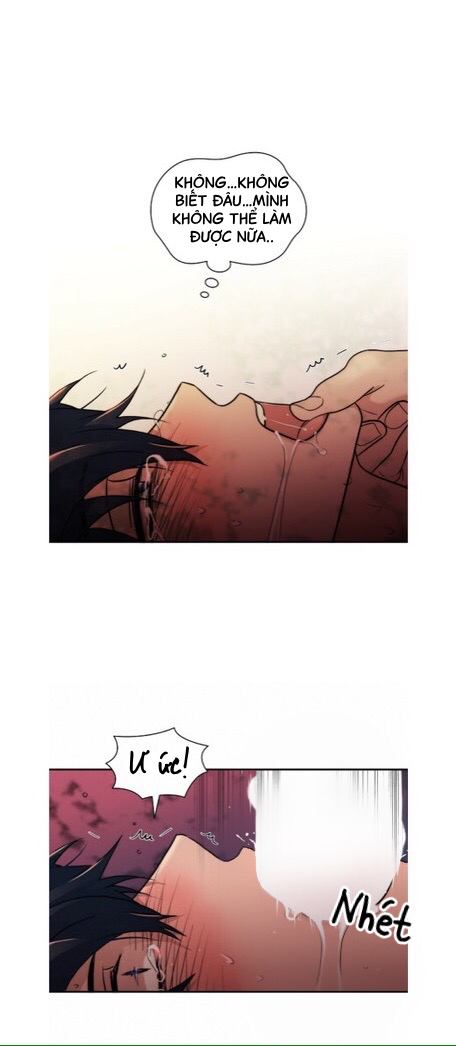 giai điệu của ngôn ngữ chapter 66 24