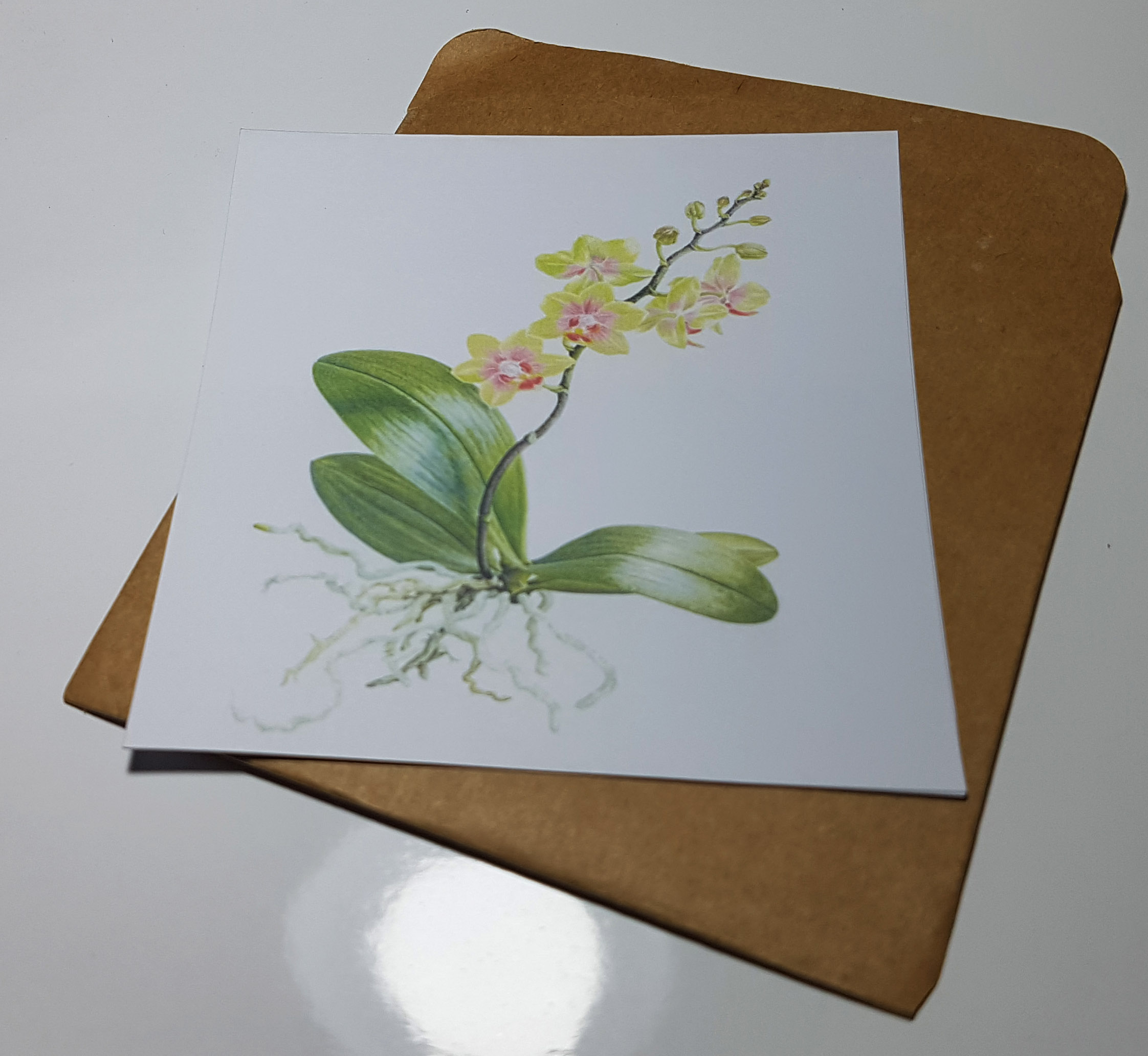 Thiệp phong cách Vintage card quà cám ơn ,chúc mừng sinh nhật và giử tặng người thân yêu