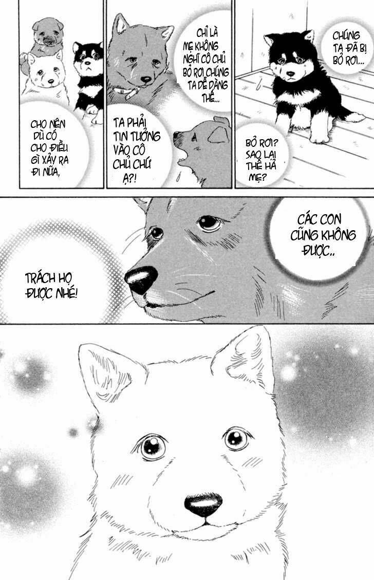 deep love - pao no monogatari chapter 1 19