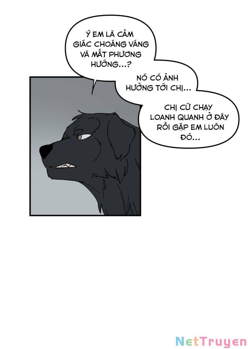 lumine - cội nguồn ánh sáng chapter 160 11