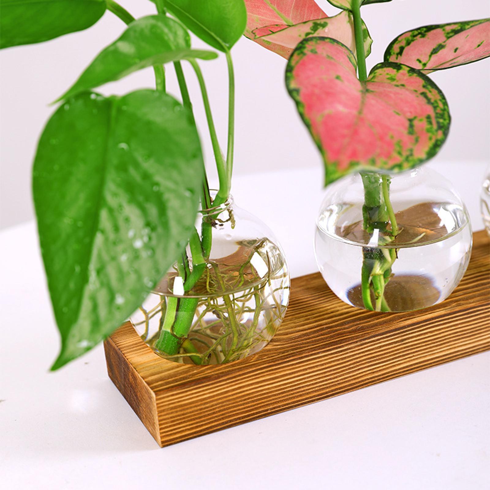 Glass Vase Transparent Bottle Propagation Terrarium for Home Cabinet Decor