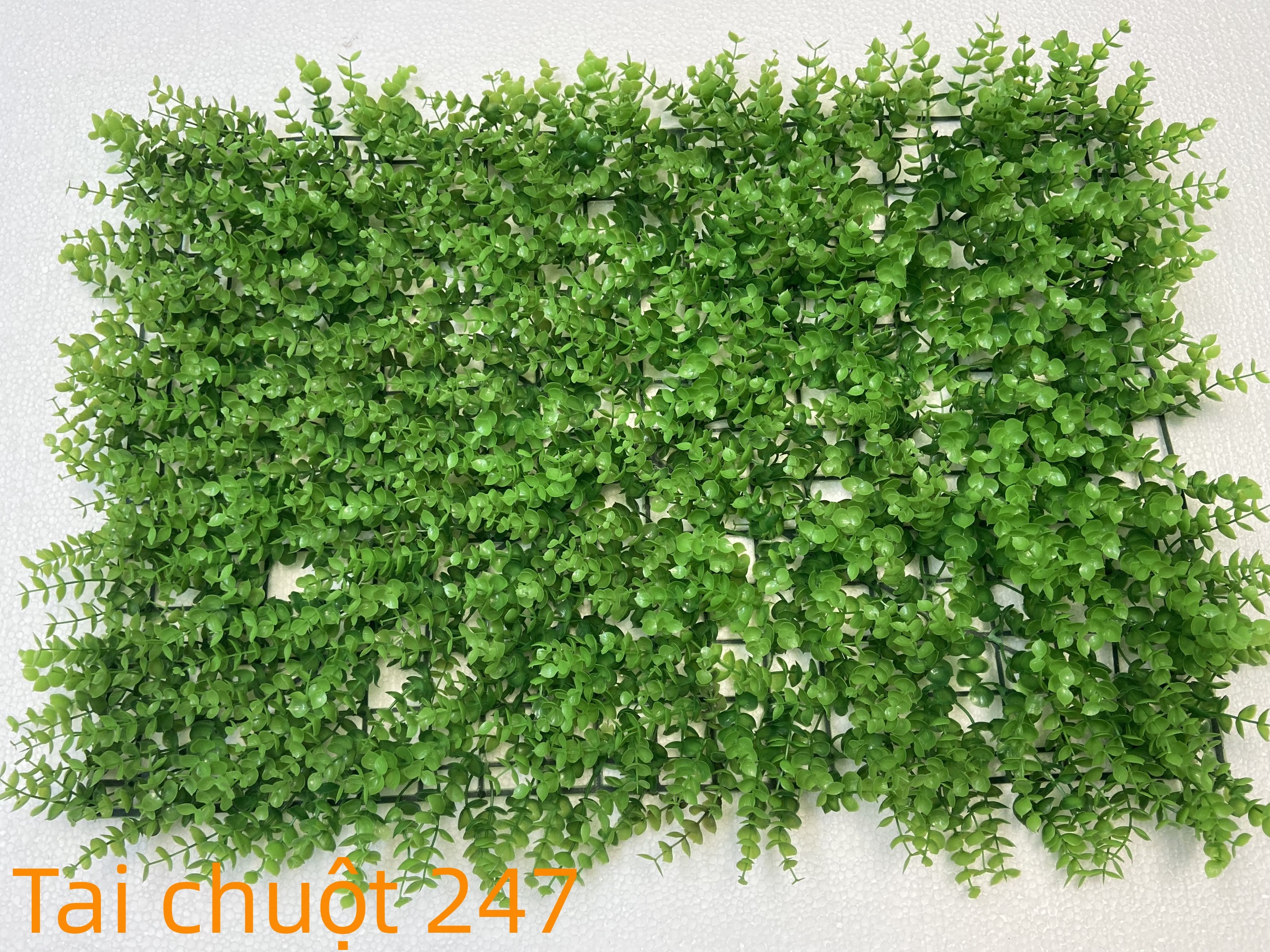 Thảm cỏ tai chuột 247, tai chuột 308 - 40 x 60cm - Tấm cỏ nhựa, vỉ cỏ nhựa làm tường cây giả