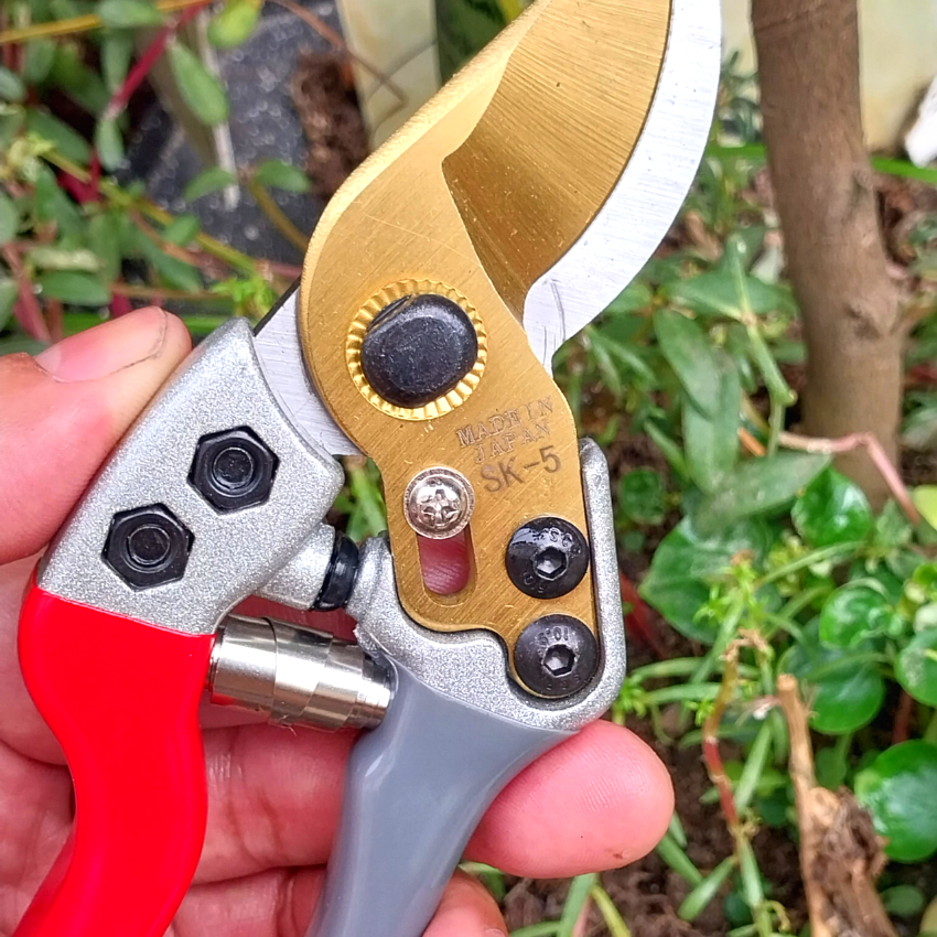 Kéo SK5 chuyên dụng cắt tỉa cành-cán bọc su chống trượt cao cấp. Mẫu mới nhất