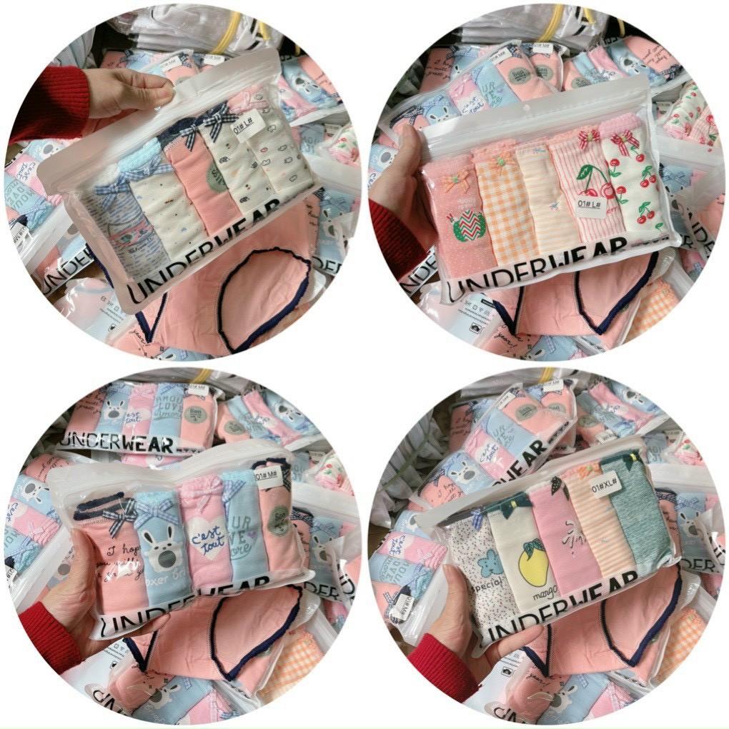 SET 5 Quần Lót Cotton In Hoạ Tiết Dễ Thương