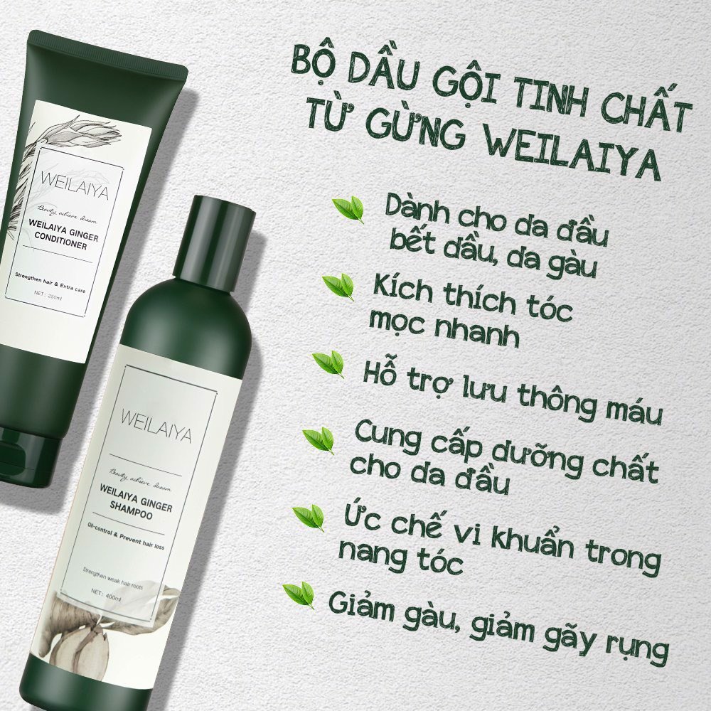 Dầu gội Weilaiya Ginger Shampoo gừng trắng kích mọc tóc mềm mượt 400ml (tem trắng)