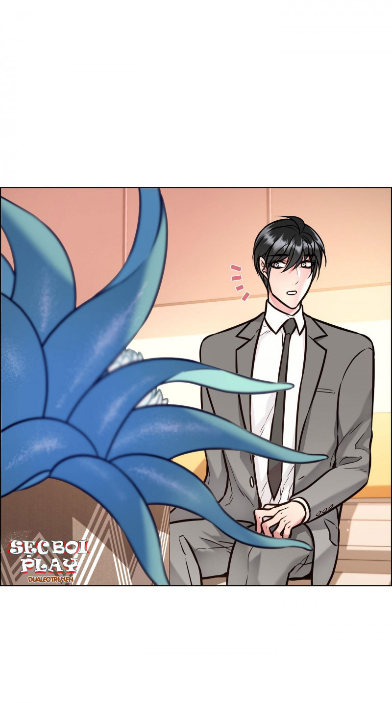 thực vật trị liệu chapter 4 10