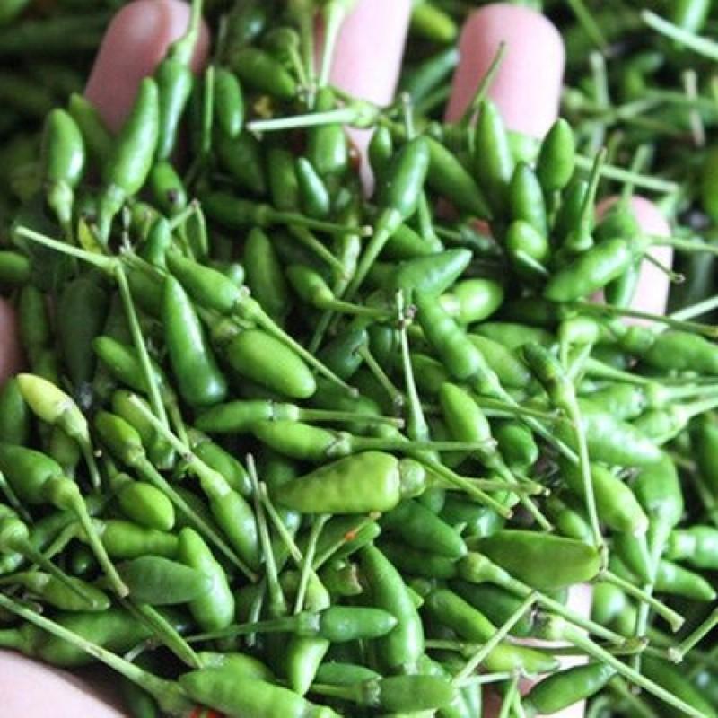 Hạt giống Ớt Xiêm Rado 712 (0,2g~40 hạt) giống cao sản, trái sai, cay nồng, trồng quanh năm - Hạt giống Rạng Đông
