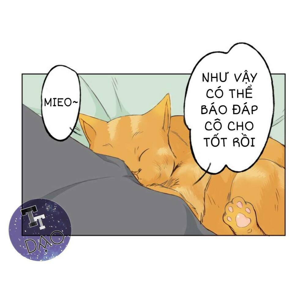 tôi không phải đa nhân cách chapter 11 29