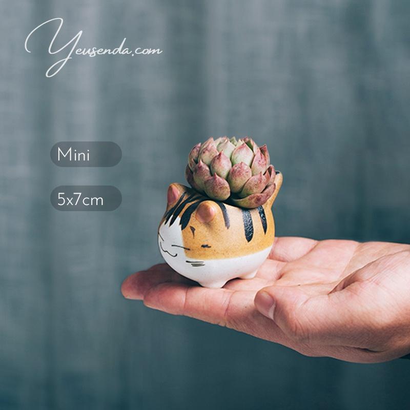 Chậu cây mini trồng Sen đá 5x7cm Mèo con đáng yêu (Gốm