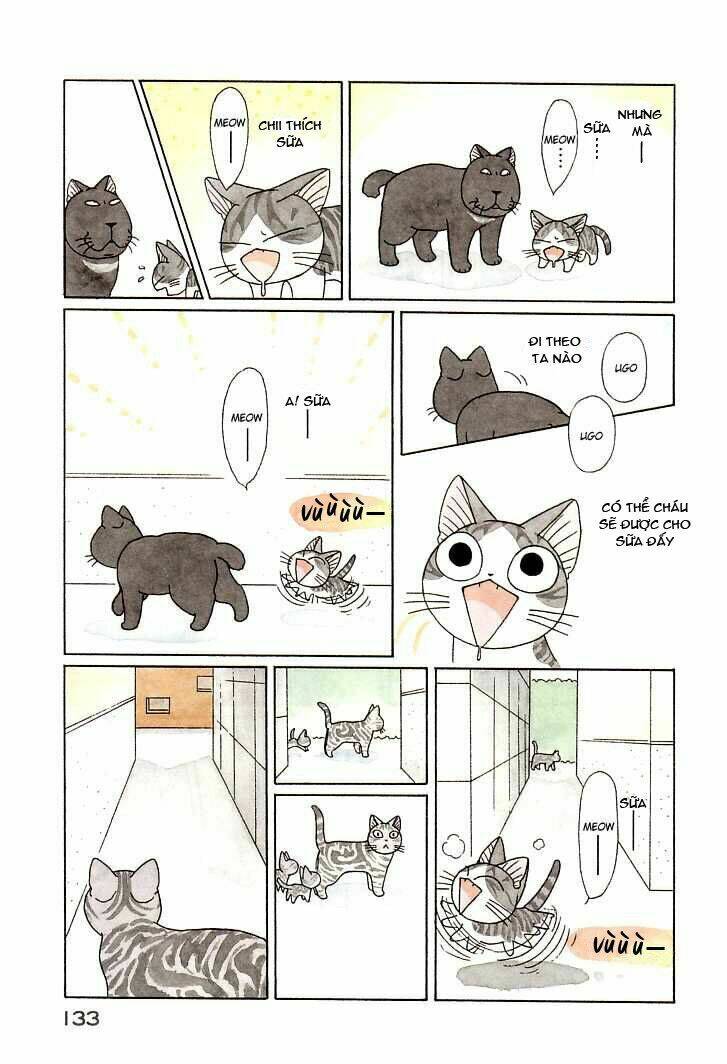 chi's sweet home chapter 91 3