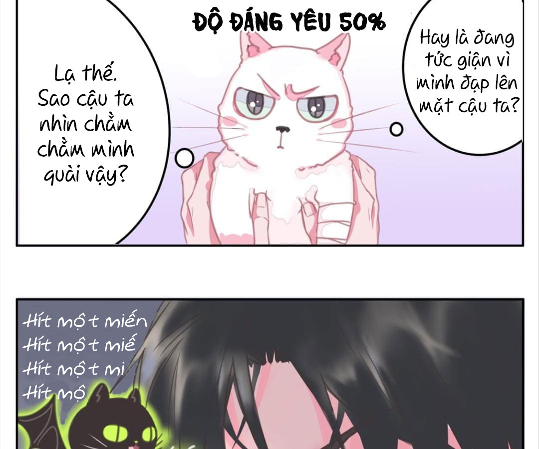 social cat chapter 1 56