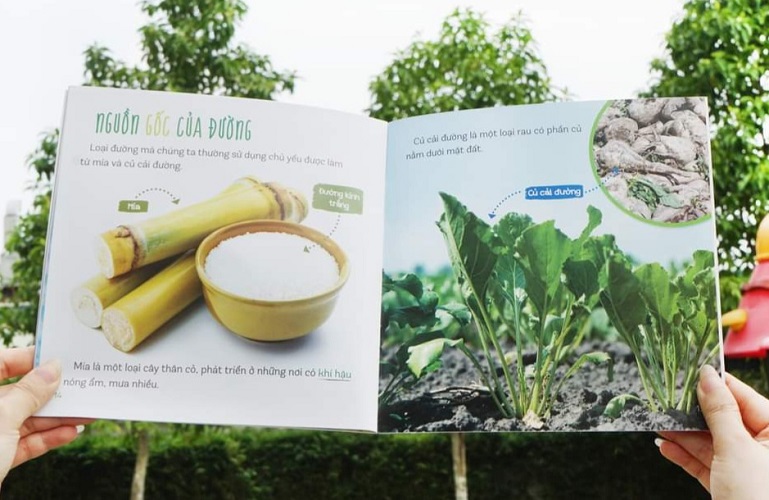 Combo Healthy Eating - Ăn Uống Lành Mạnh