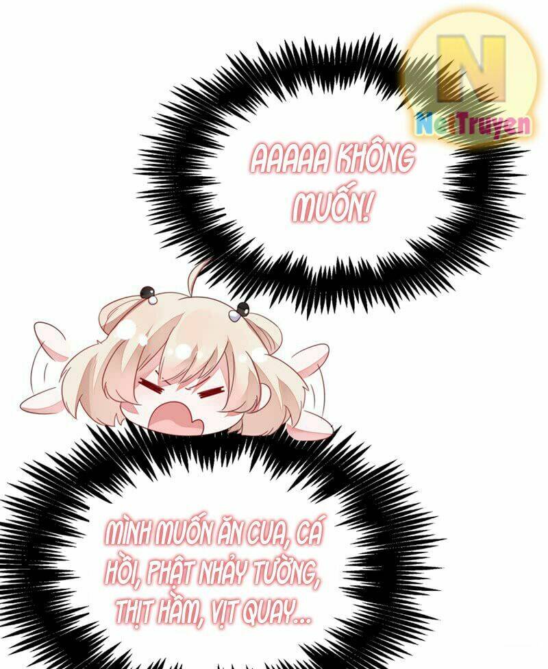 thiên thần gấu trúc muốn được ôm chapter 11 17