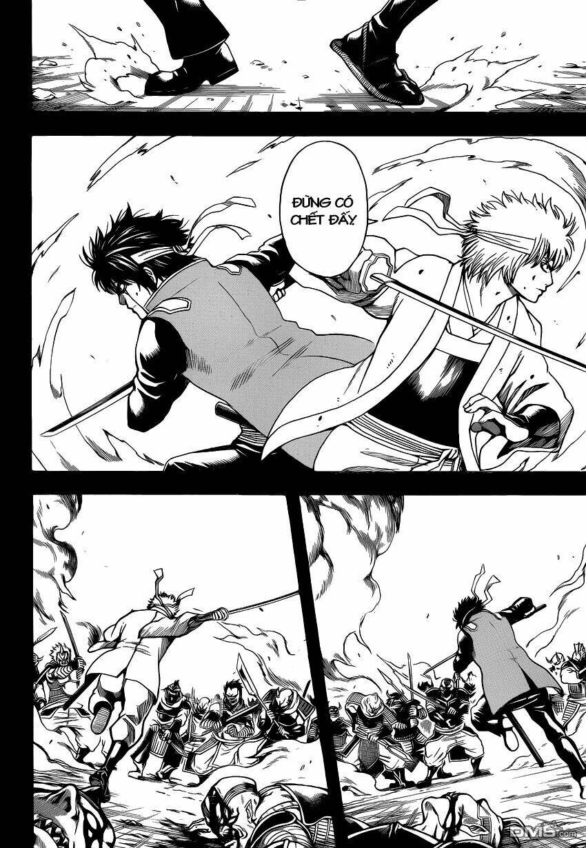 gintama - linh hồn bạc chapter 516 5