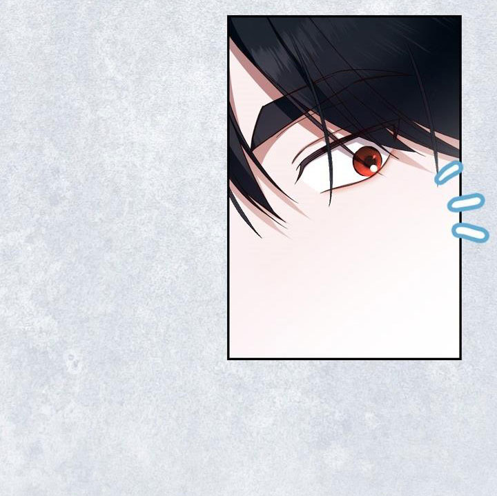 cách che giấu đứa con của hoàng đế chapter 22.2 1