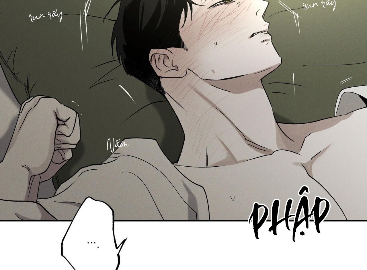 chàng giao pizza và gold palace chapter 46 57