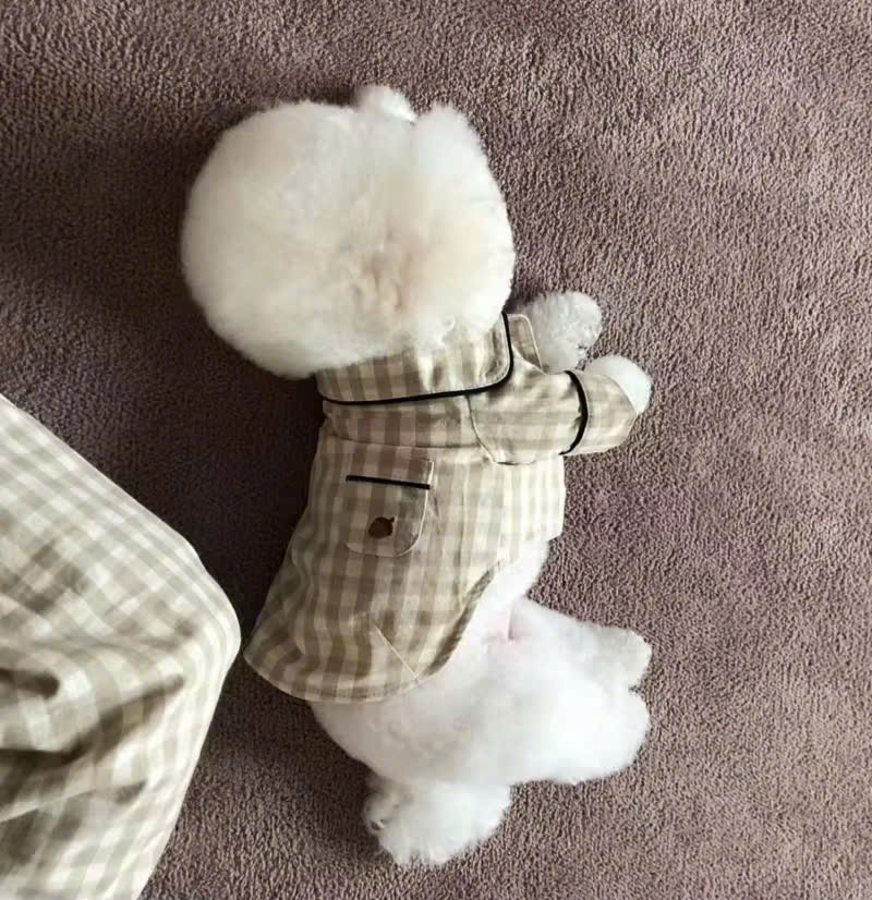 ÁO CARO SANG TRỌNG TỪ 0.2-7KG DÀNH CHO THÚ CƯNG CHÓ MÈO