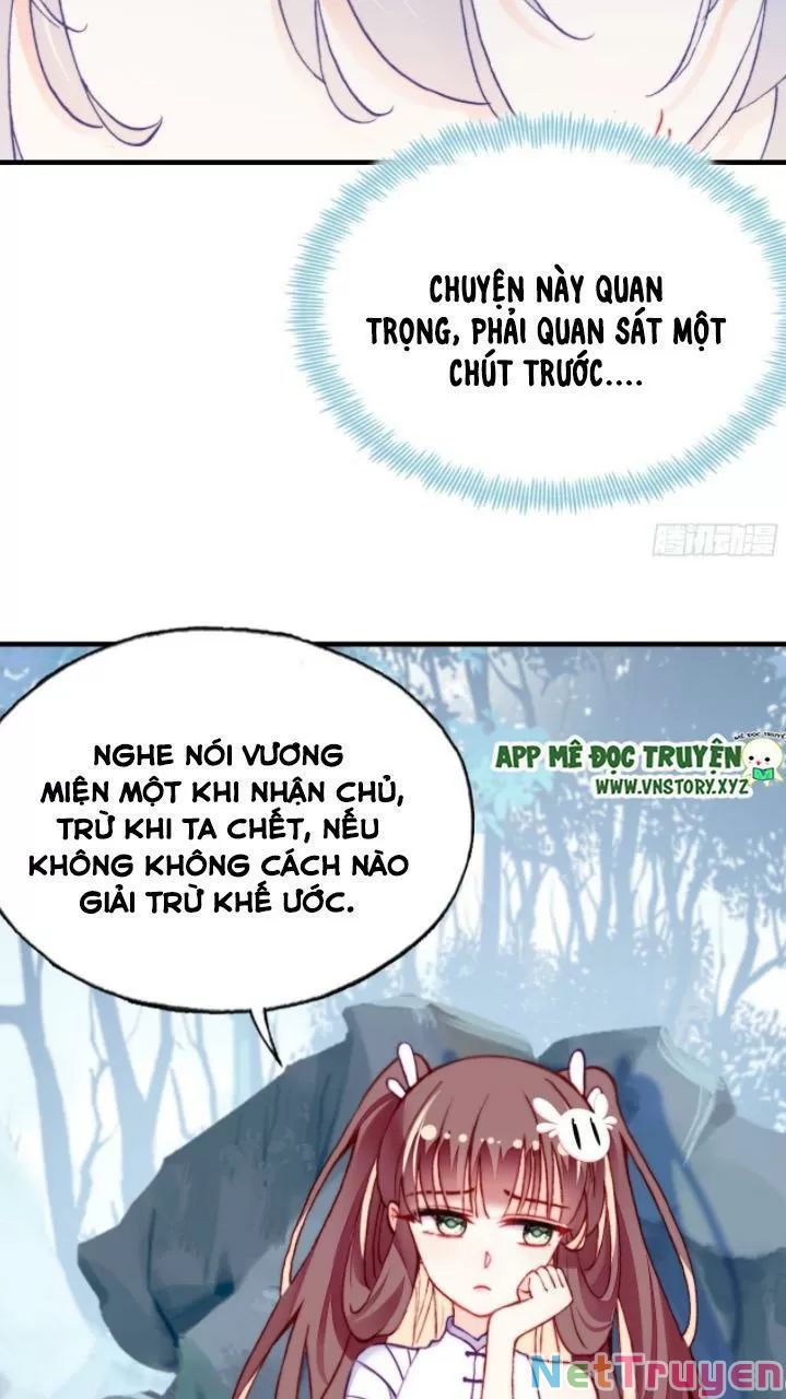 lại bị bệnh chiều chuộng quấn lấy chapter 20 24