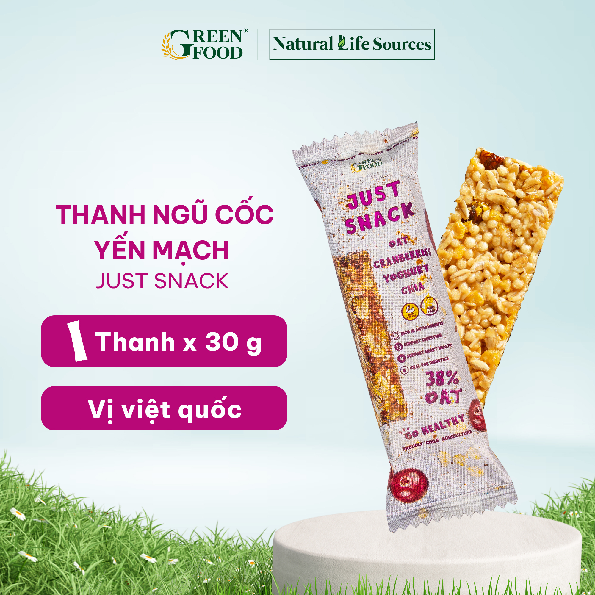 Thanh Năng lượng Ngũ cốc yến mạch Just Snack vị Nam Việt Quất | 30g/thanh