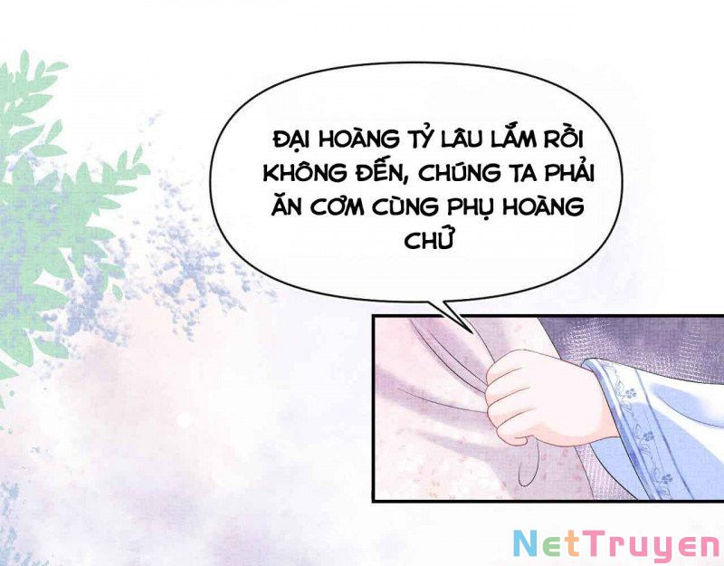 nhóc con người cá 3 tuổi rồi chapter 228 16