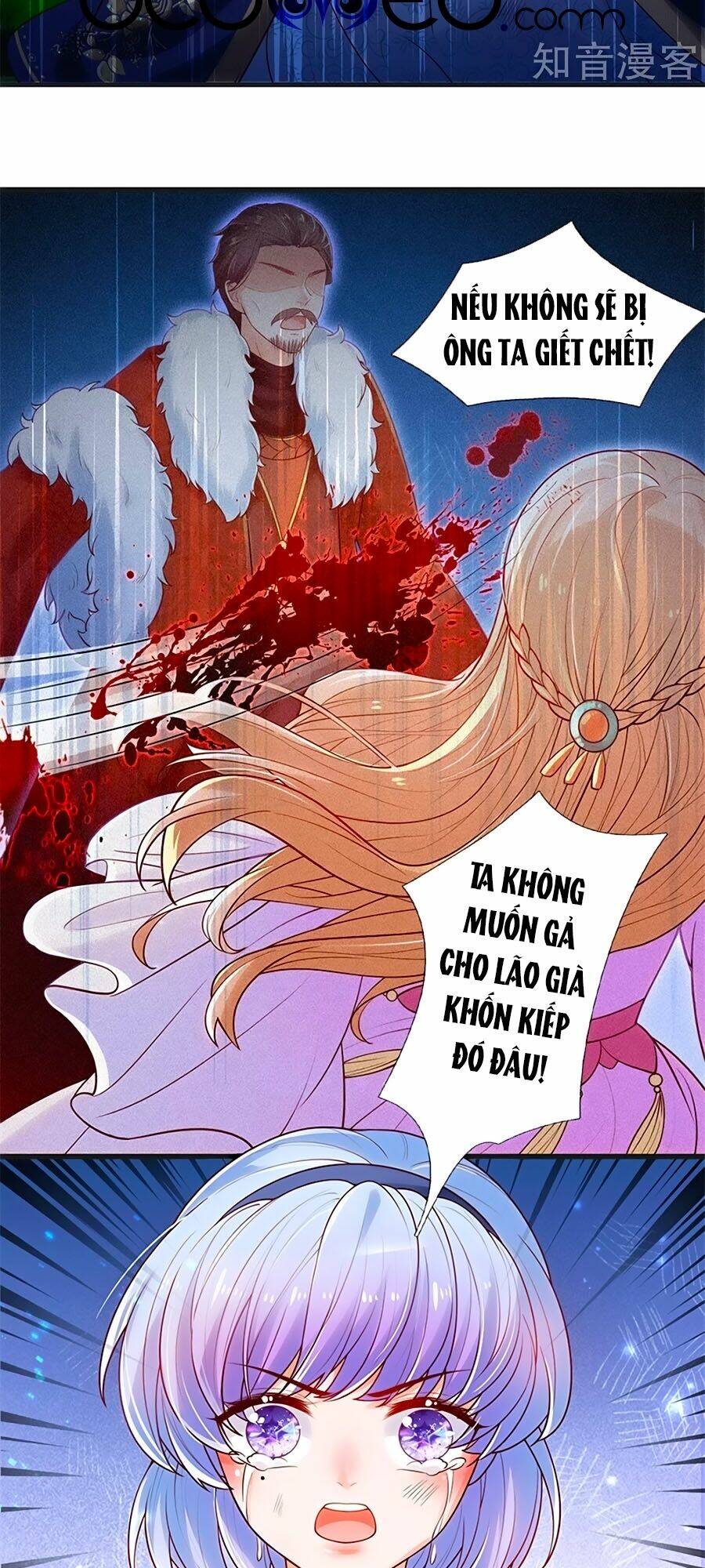 bỗng một ngày trở thành con gái nhà vua chapter 233 13