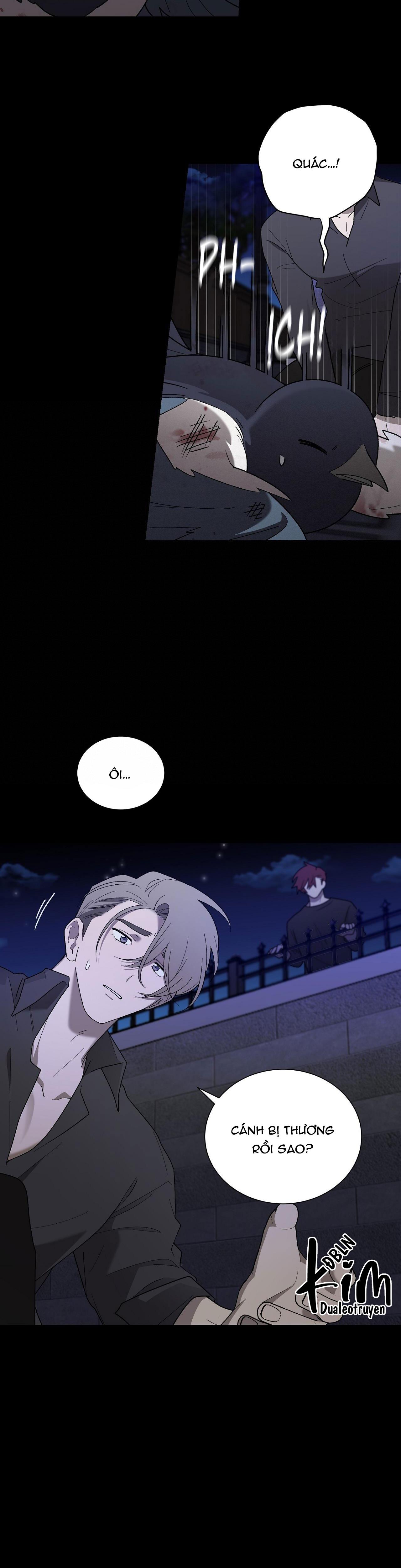 khi chim thước đến chapter 12 29