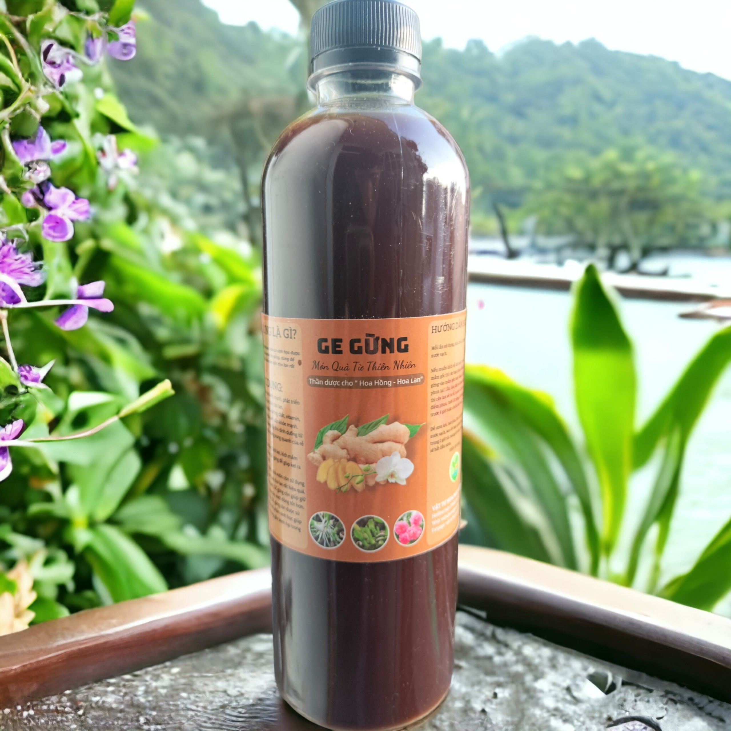 GE Gừng - chai 500ml - Phân bón hữu cơ, kích kie, kích mầm, kích rễ.