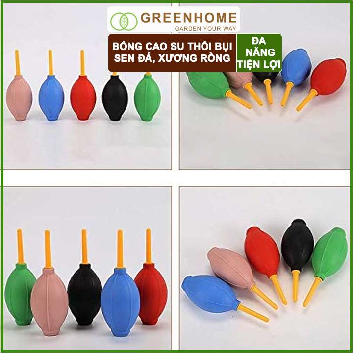 Bóng Cao Su Thổi Bụi GreenHome, D15xr5cm, Dụng Cụ Làm Vườn, Làm Sạch Cây Sen Đá, Bonsai, Màu Sắc Ngẫu Nhiên