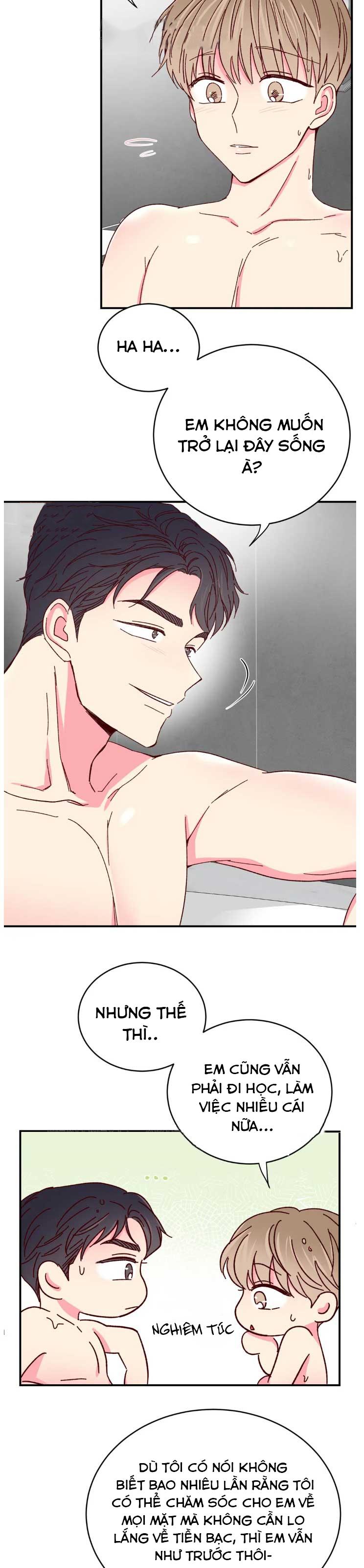 món tráng miệng của sếp tổng chapter 70 14