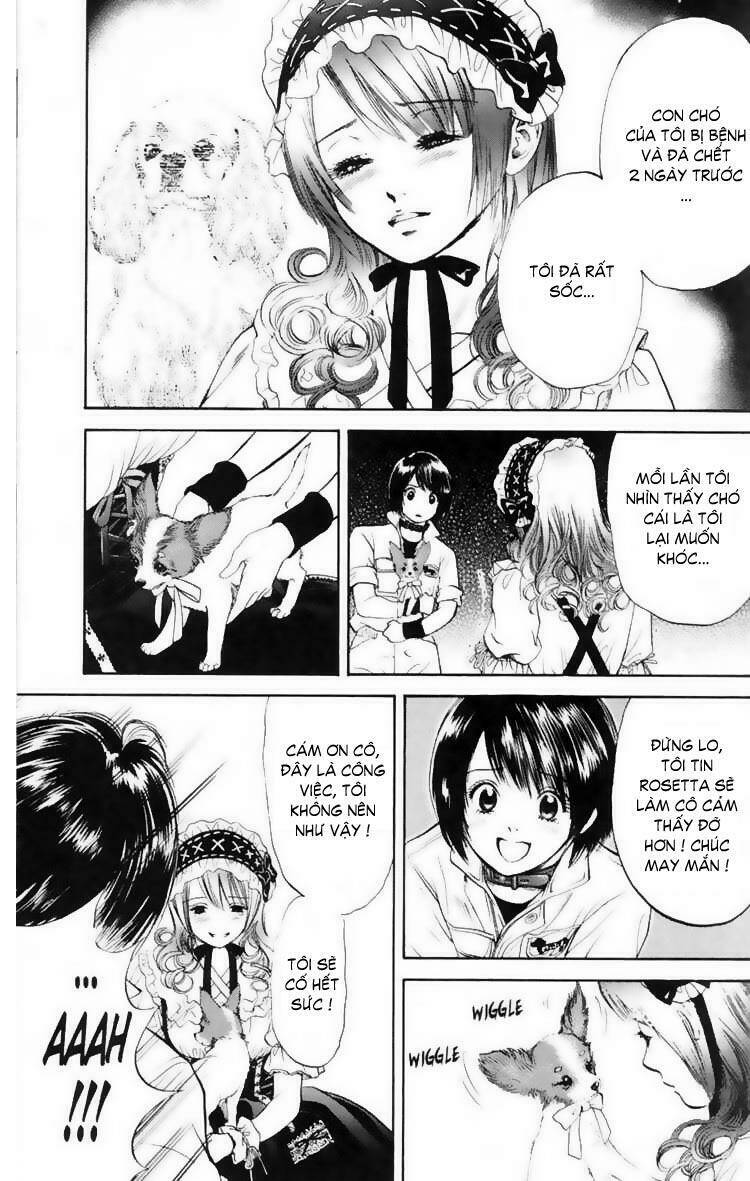 cô nàng yêu chó chapter 13 9