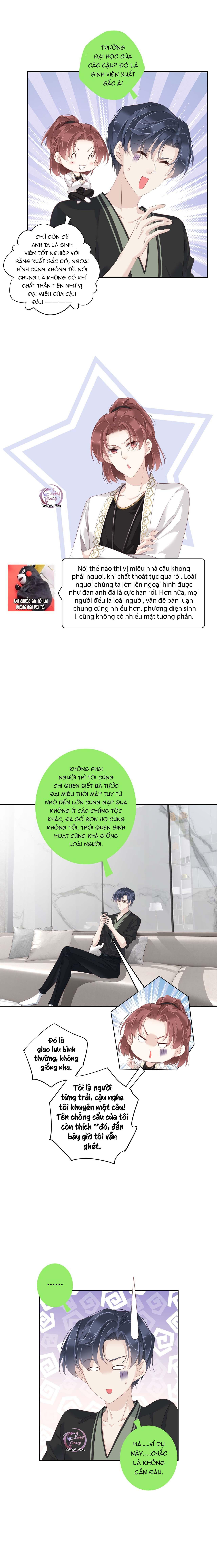 cuộc mai mối vượt giống loài chapter 8 7