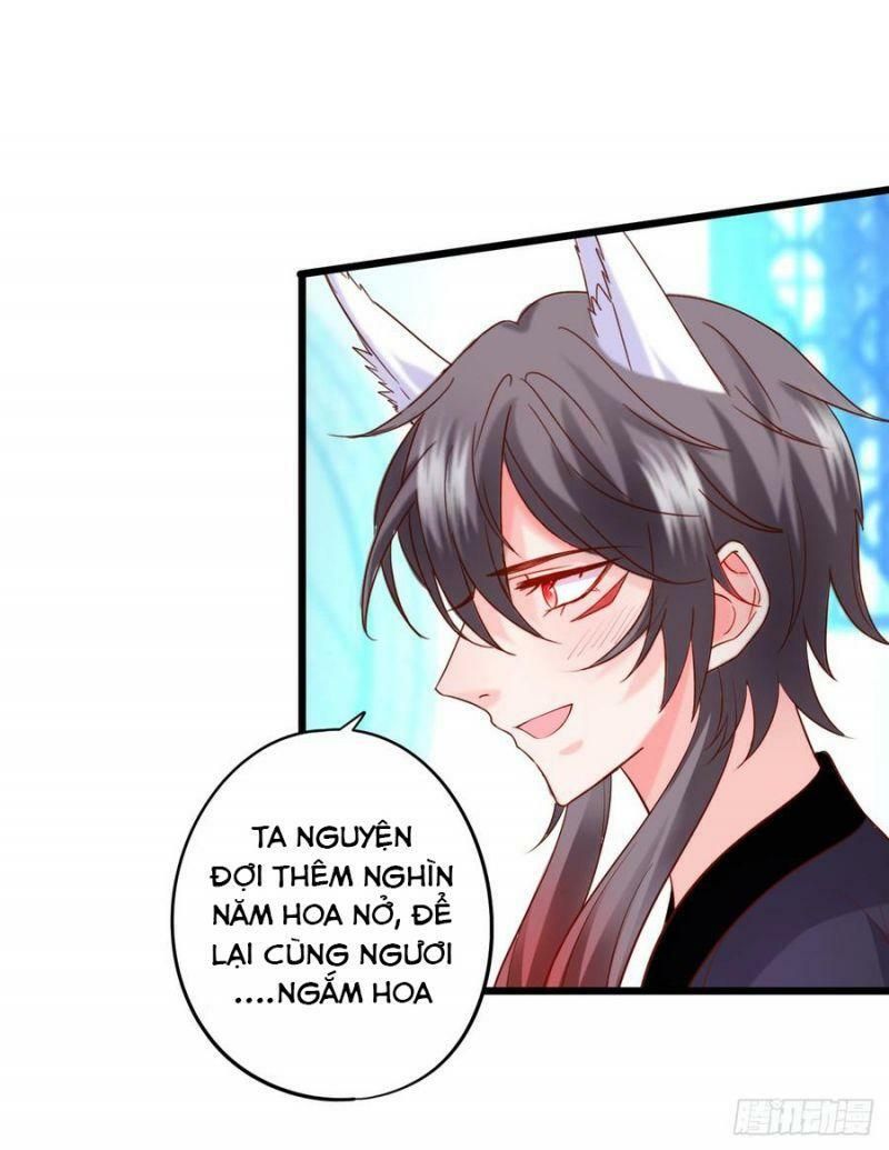 hồ tiên hung bạo chapter 143 53