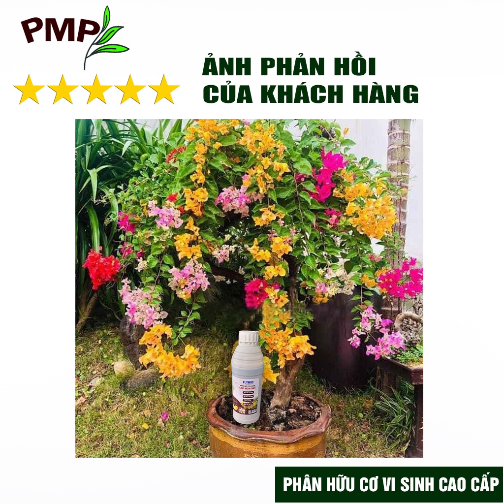 Phân bón hoa giấy Flymic PMP giúp kích hoa, lặp hoa nhanh, sai hoa, hoa nở đồng loạt chai 1 lít