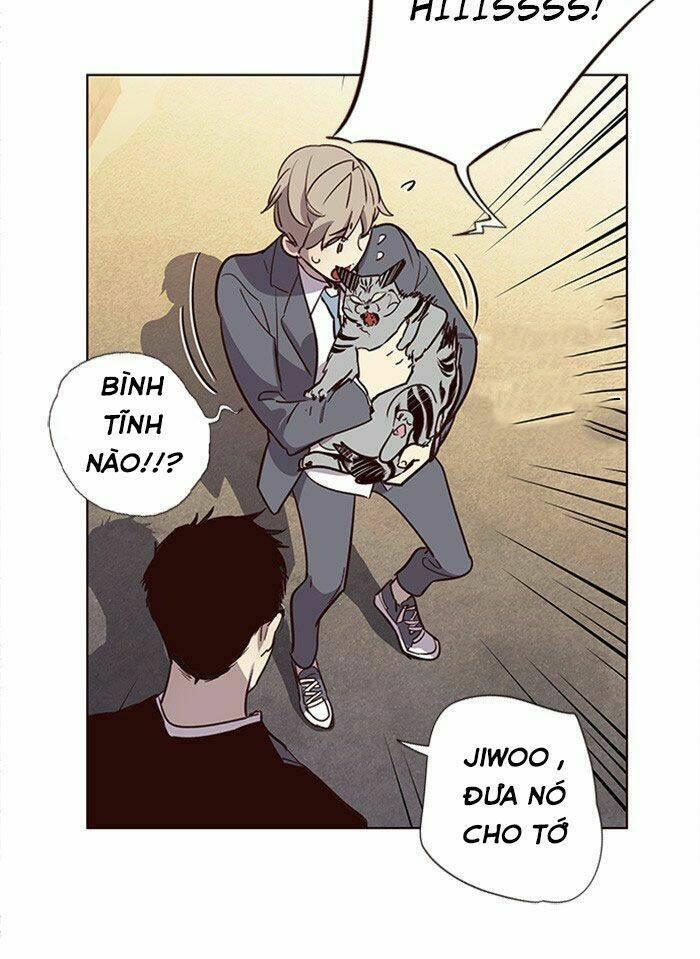 biến thân thành mèo chapter 11 94