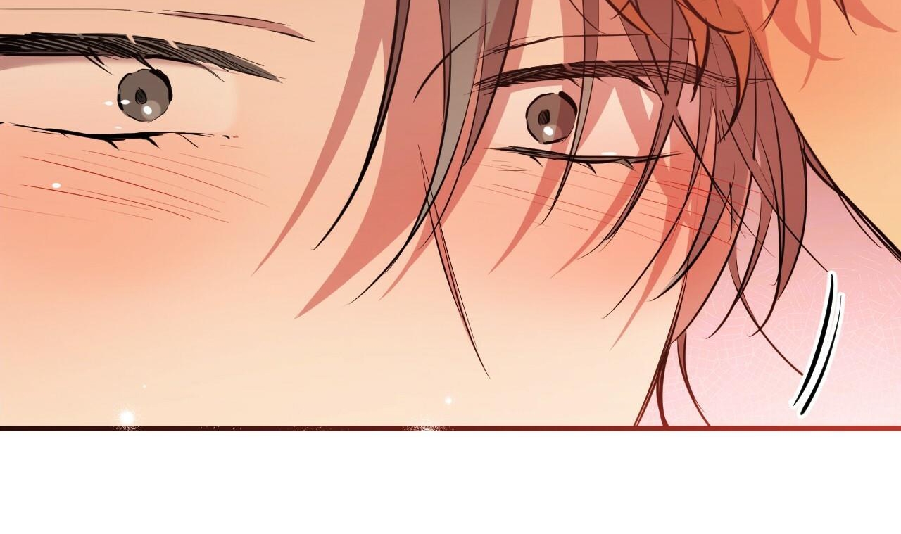 đàn thỏ của habibi chapter 25 36