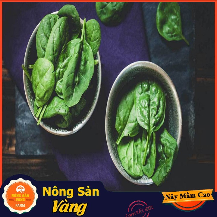 Hạt giống Cải Bó Xôi Chịu Nhiệt - Nông Sản Vàng