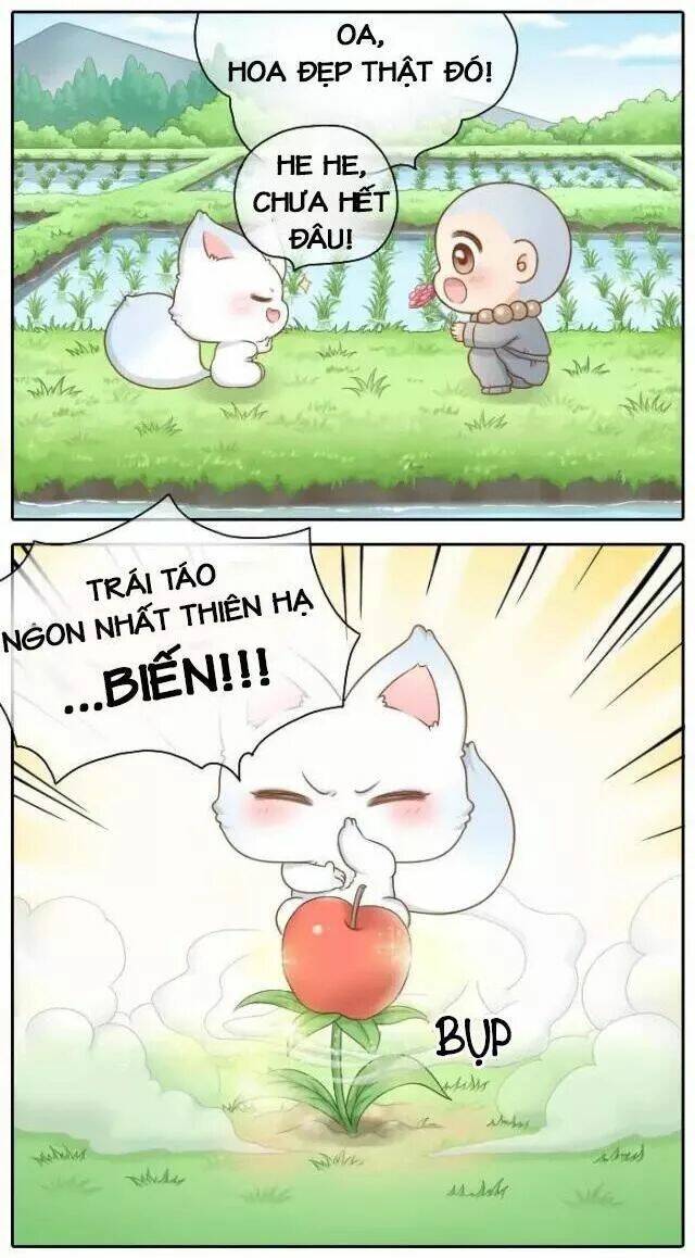 tiểu hồ ly vs tiểu hóa thượng chapter 38 7