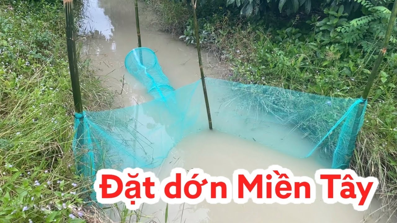 Dớn Chặn Mương Suối Bắt Cá, Lươn, Ếch, Cua Loại Vành 30cm