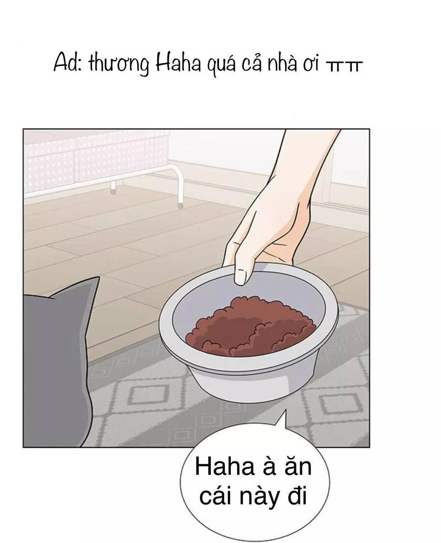 idol và sếp, em yêu ai? chapter 98 44