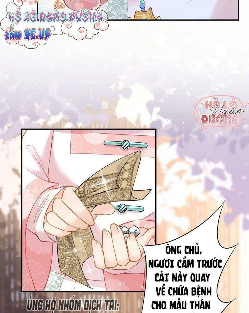 quận chúa vững vàng, thiết lập nhân vật không thể vỡ chapter 17 8