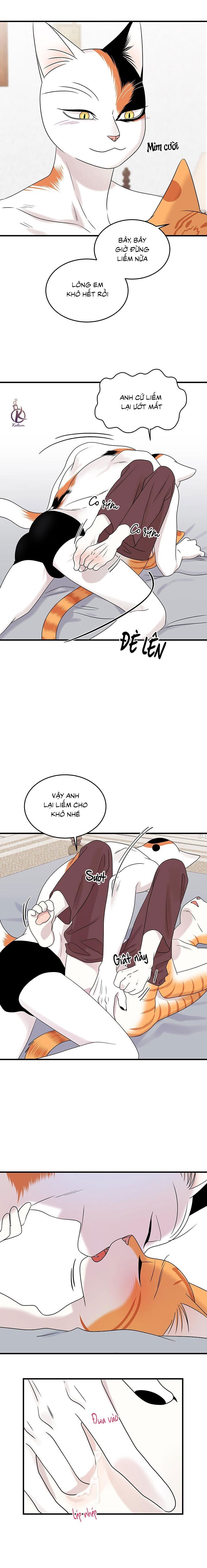 dự án xanh chapter 48 8