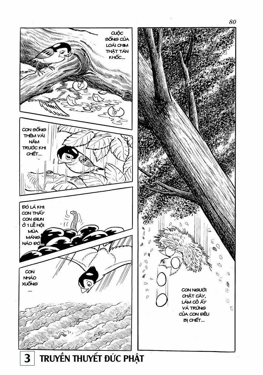 buddha - truyền thuyết đức phật chapter 14 33