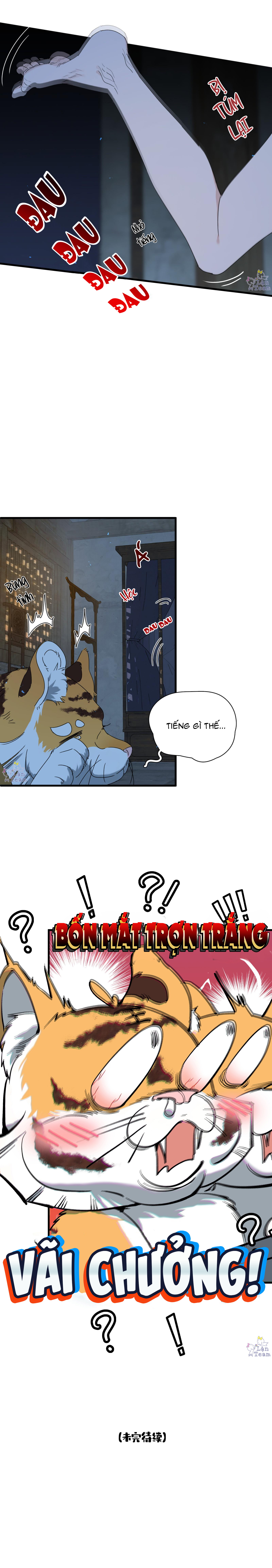 kế hoạch tẩu thoát chapter 14 8