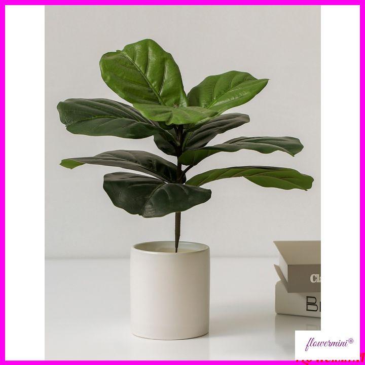 Chậu cây cảnh giả để bàn trang trí nhiều mẫu, cây vạn niên thanh decor nhà hàng xanh mát Flowermini CC-05